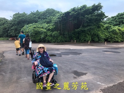 2019桃園地景 大湳森林公園 (77).jpg