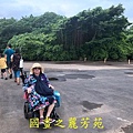 2019桃園地景 大湳森林公園 (77).jpg