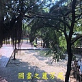 201910 安平古堡 安平老街 (35).jpg