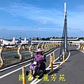 201910 永安漁港 (53).jpg