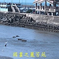 201910 永安漁港 (59).jpg