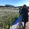 20191201---平鎮花彩節 (48).jpg