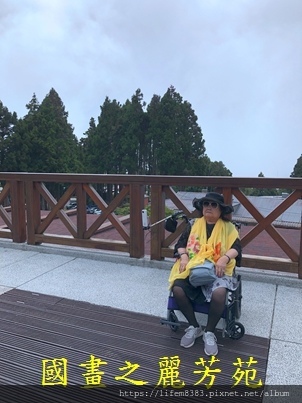 10906 阿里山之旅 第二回 (29).jpg