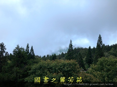 10906 阿里山之旅 第二回 (79).jpg