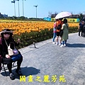 1110409---桃園海芋節 (10).jpg