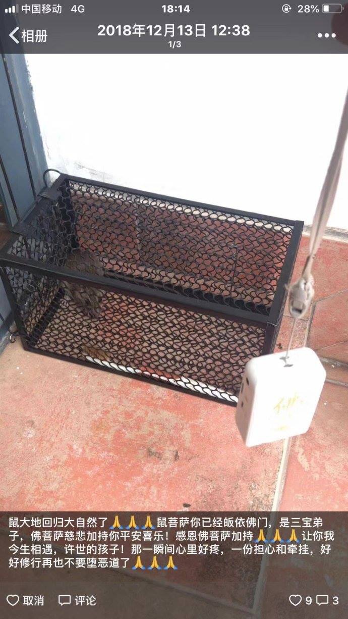 48397862_1958837304234271_2616651435734990848_o.jpg 48397862_1958837304234271_2616651435734990848_o.jpg