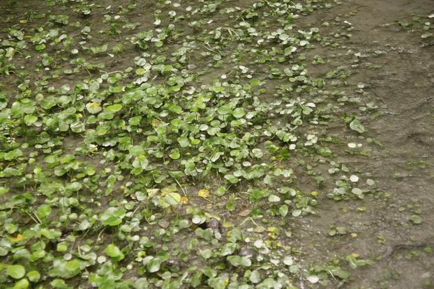 IMG_6758 IMG_6758