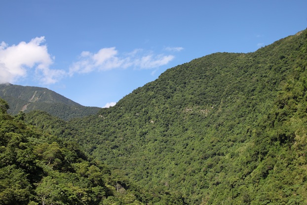 IMG_6975 IMG_6975
