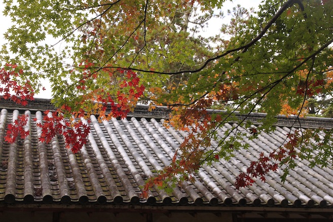 IMG_8820 IMG_8820