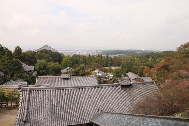 IMG_8857 IMG_8857