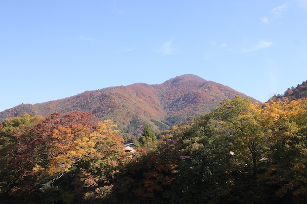 IMG_0462 IMG_0462