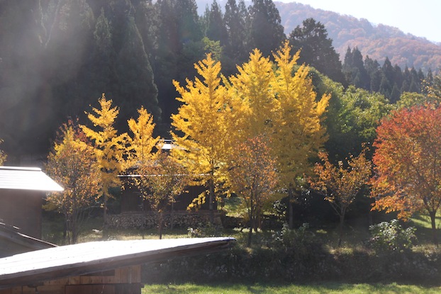 IMG_0565 IMG_0565