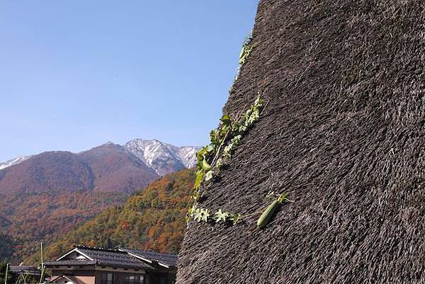 IMG_0588 IMG_0588
