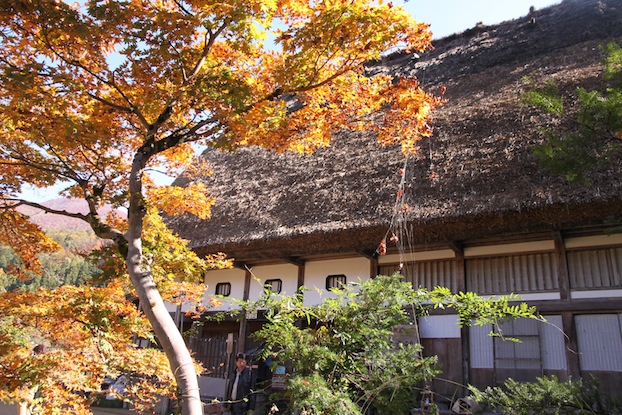IMG_0610 IMG_0610