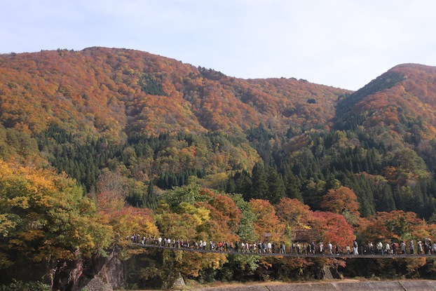 IMG_0834 IMG_0834