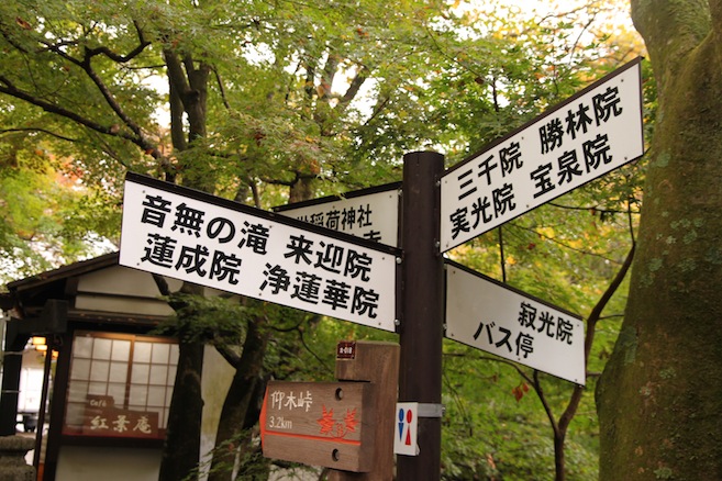 IMG_1853 IMG_1853
