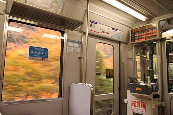 IMG_2275 IMG_2275