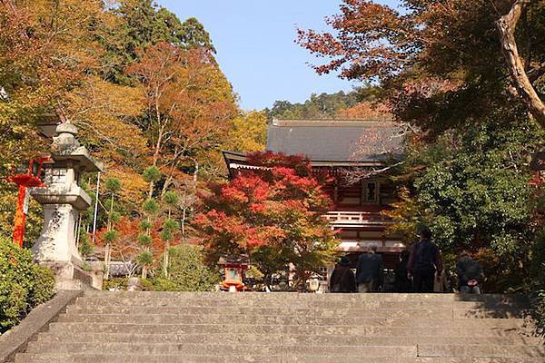 IMG_2310 IMG_2310