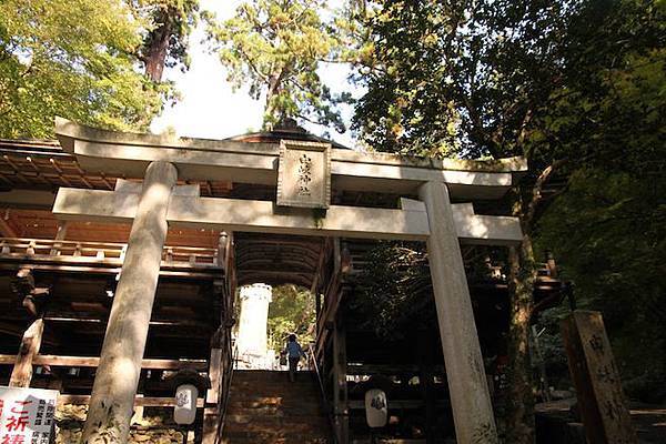 IMG_2350 IMG_2350
