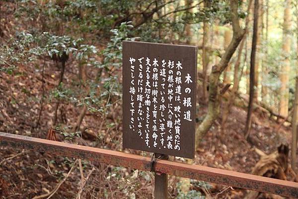 IMG_2445 IMG_2445