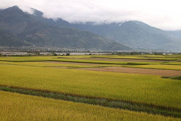 IMG_0318 IMG_0318