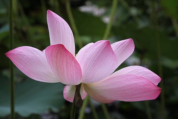 IMG_7505 IMG_7505