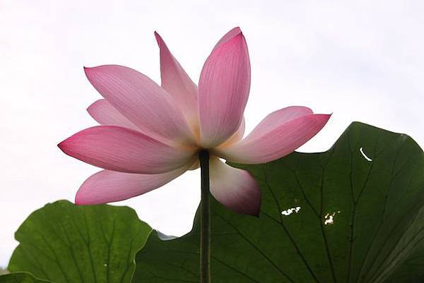 IMG_7609 IMG_7609