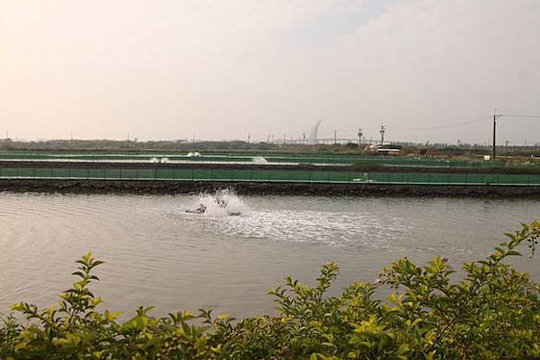 IMG_1505 IMG_1505