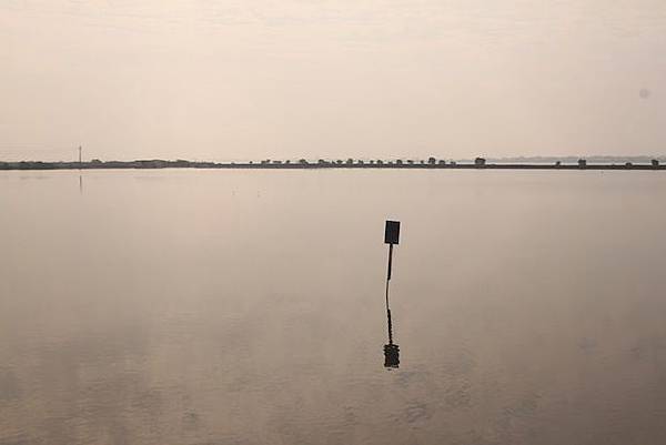 IMG_1514 IMG_1514