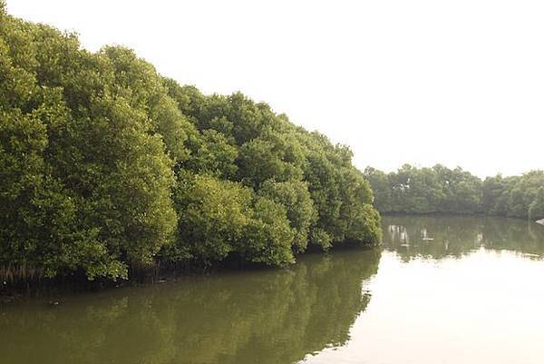 IMG_1553 IMG_1553