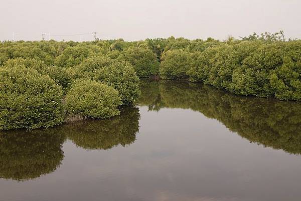 IMG_1560 IMG_1560