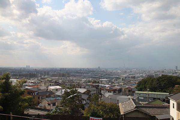 IMG_8986 IMG_8986