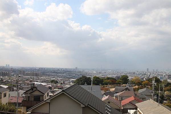 IMG_8985 IMG_8985