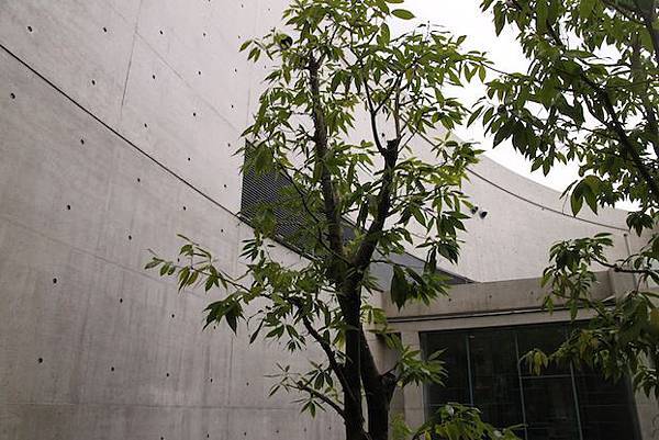IMG_9029 IMG_9029