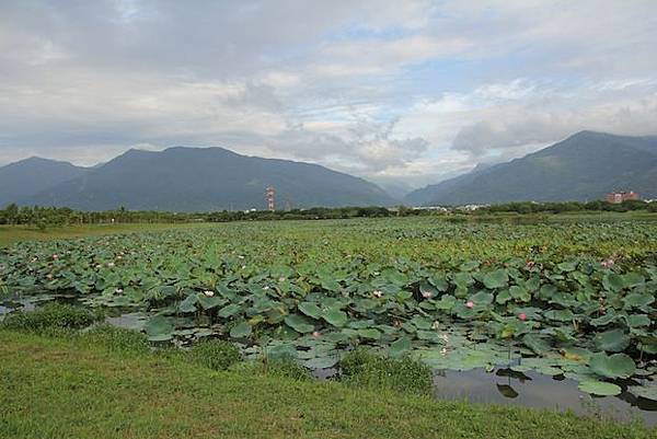 IMG_1483 IMG_1483
