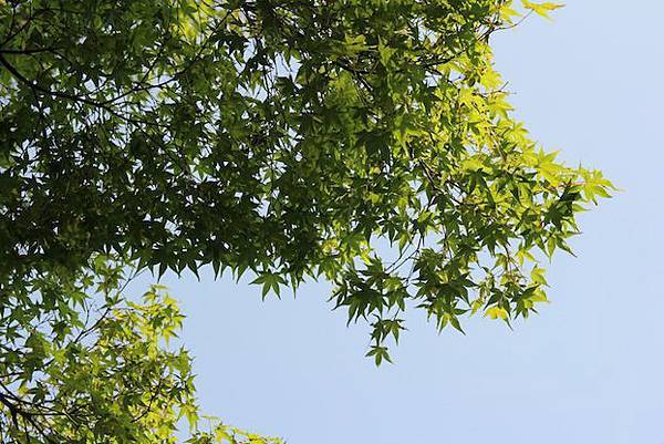 IMG_2493 IMG_2493