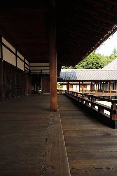IMG_2572 IMG_2572