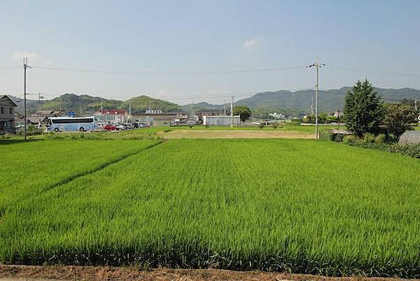 IMG_2910 IMG_2910