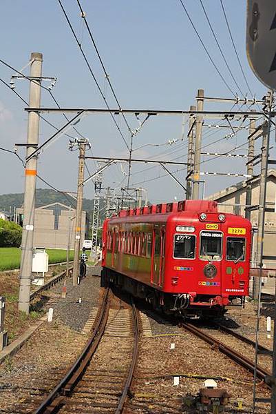 IMG_2916 IMG_2916