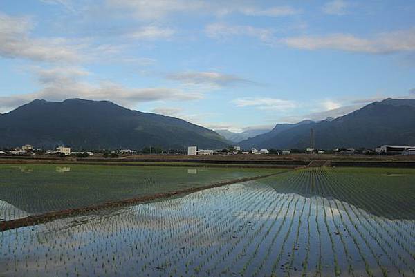 IMG_1415 IMG_1415
