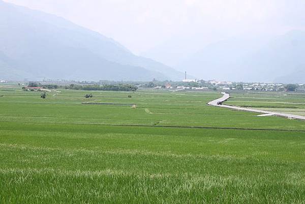 IMG_8071 IMG_8071
