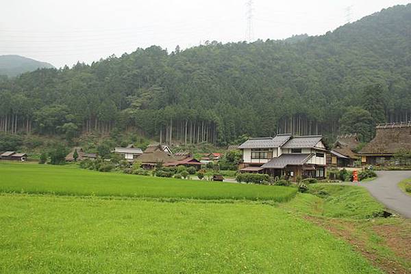 IMG_3197 IMG_3197