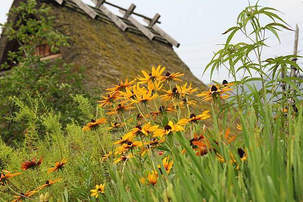 IMG_3245 IMG_3245