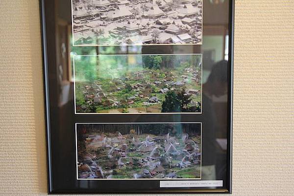 IMG_3320 IMG_3320