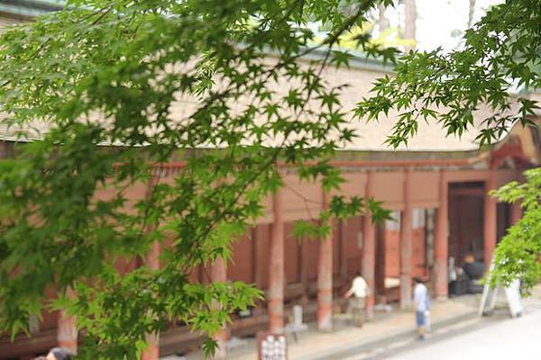 IMG_3789 IMG_3789