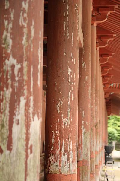 IMG_3827 IMG_3827