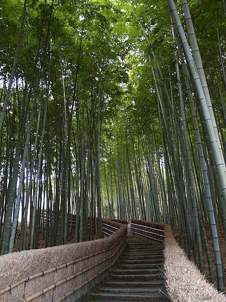化野念佛寺綠色小徑