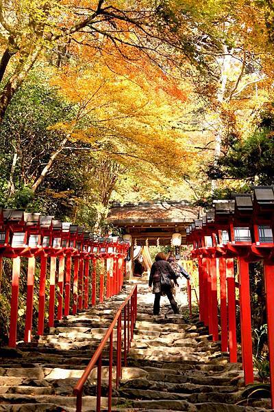 貴船神社讓人神往的參拜道-1