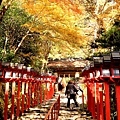 貴船神社讓人神往的參拜道-1