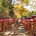 貴船神社讓人神往的參拜道